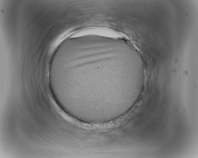 X0000085840005200704132115