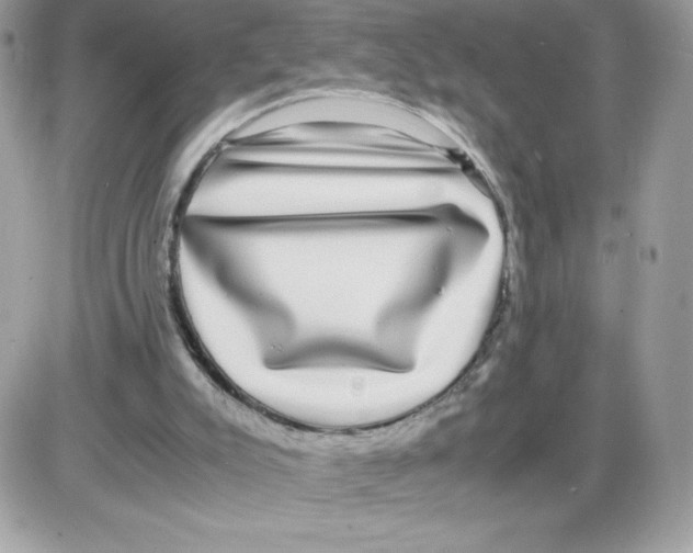 X0000085840007200704132115