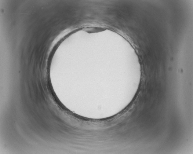 X0000085840008200704132115