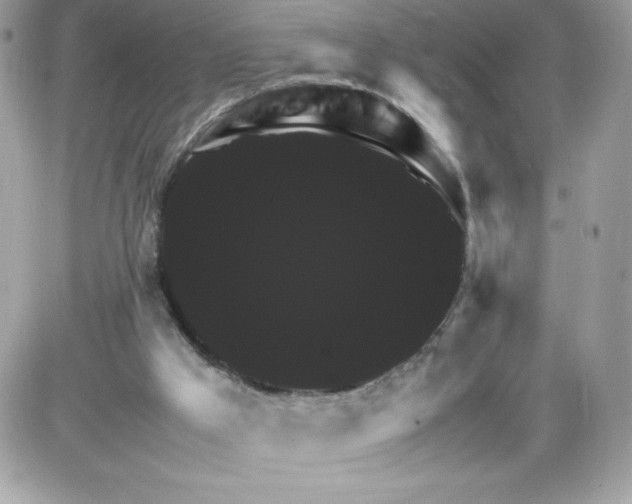 X0000085840009200704132115