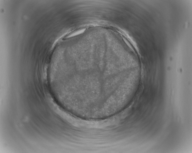 X0000085840010200704132115