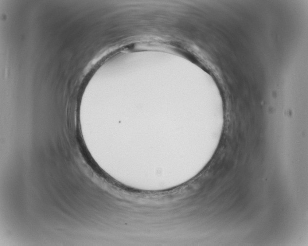 X0000085840011200704132115