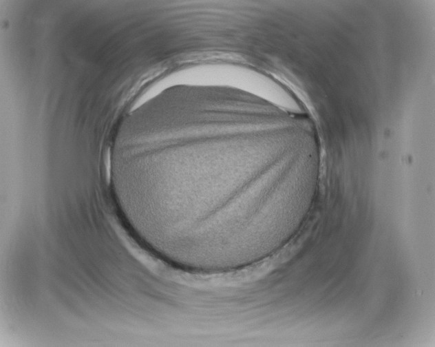 X0000085840013200704132115