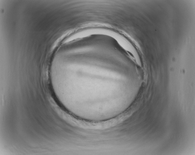 X0000085840015200704132115