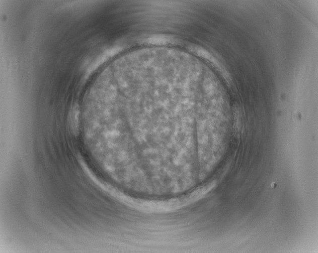 X0000085840016200704132115