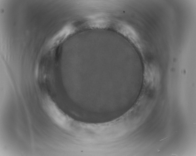 X0000085840017200704132115