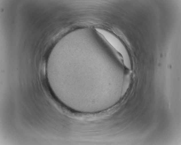 X0000085840021200704132115