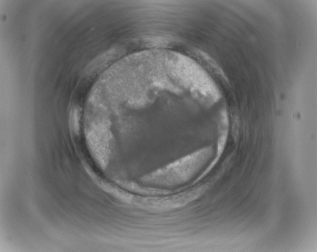 X0000085840026200704132115