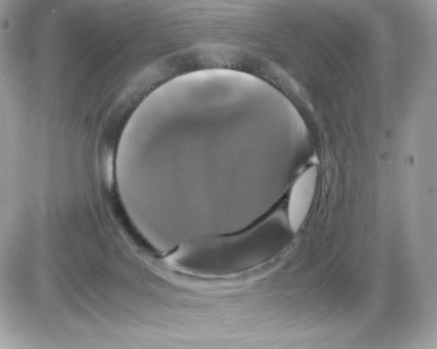 X0000085840027200704132115