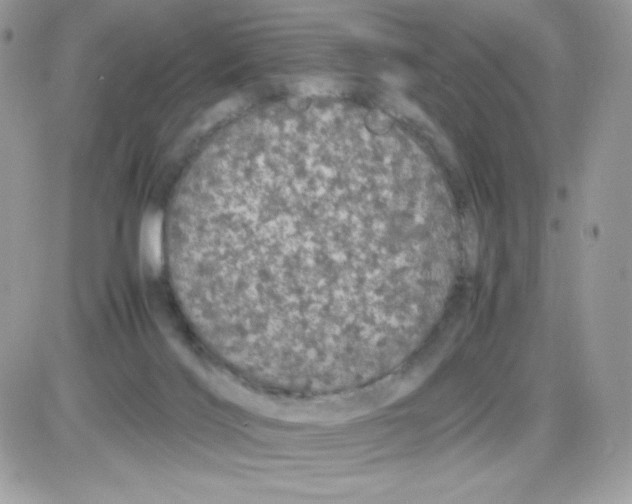 X0000085840028200704132115