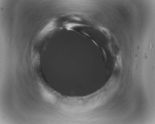 X0000085840029200704132115