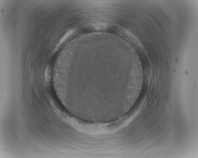 X0000085840032200704132115