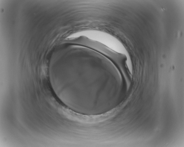 X0000085840035200704132115