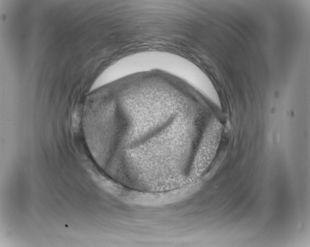 X0000085840037200704132115