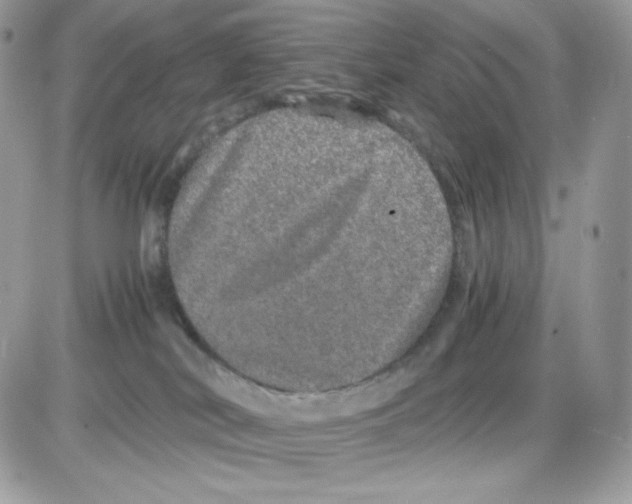 X0000085840038200704132115