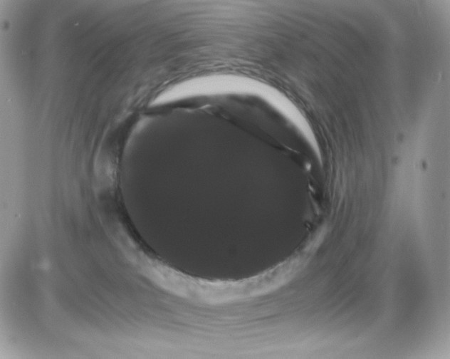 X0000085840039200704132115