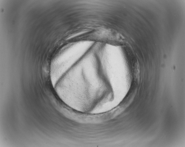 X0000085840040200704132115