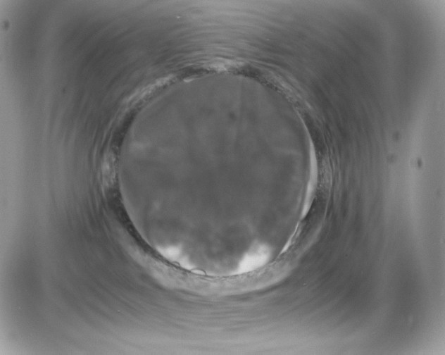 X0000085840043200704132114