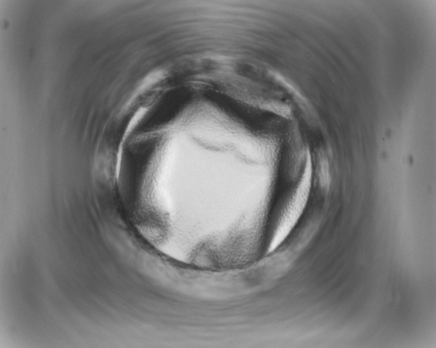 X0000085840044200704132114