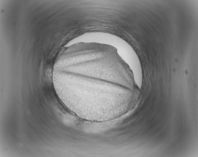 X0000085840045200704132114