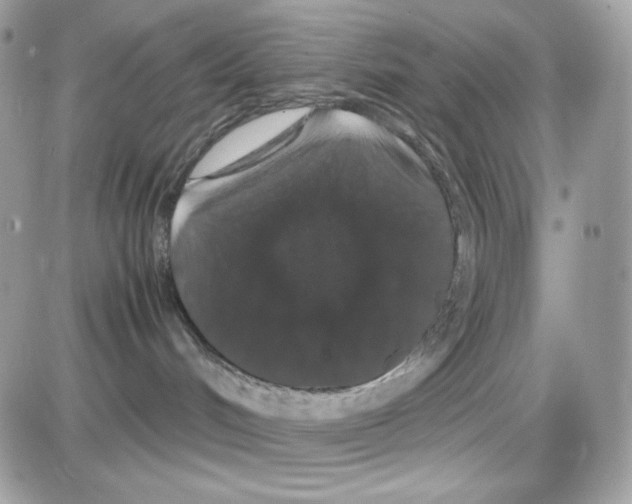 X0000085840048200704132114