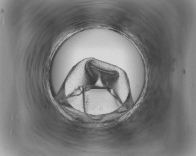 X0000085840049200704132114