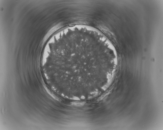 X0000085840051200704132114