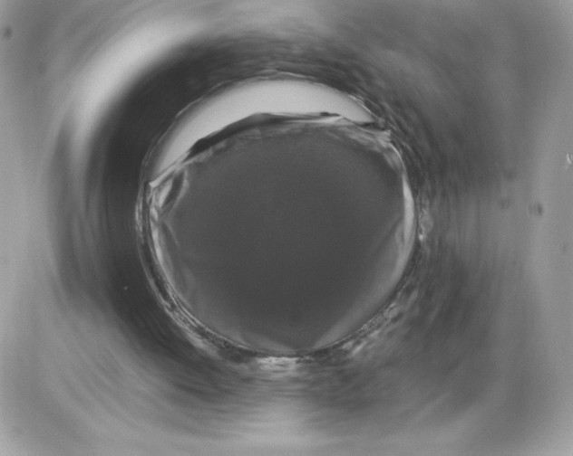 X0000085840052200704132114