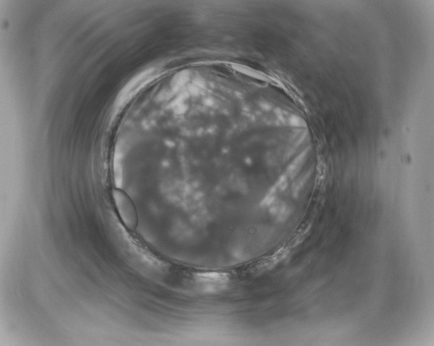 X0000085840053200704132114