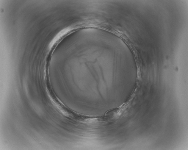 X0000085840054200704132114