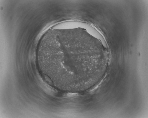 X0000085840055200704132114