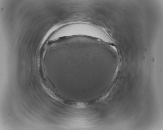 X0000085840056200704132114