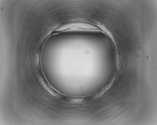 X0000085840057200704132114