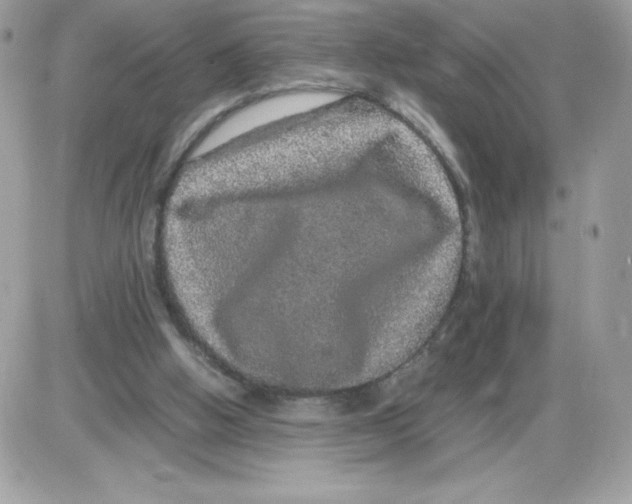 X0000085840058200704132114