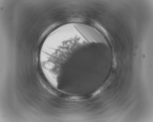 X0000085840059200704132114