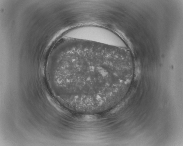 X0000085840060200704132114