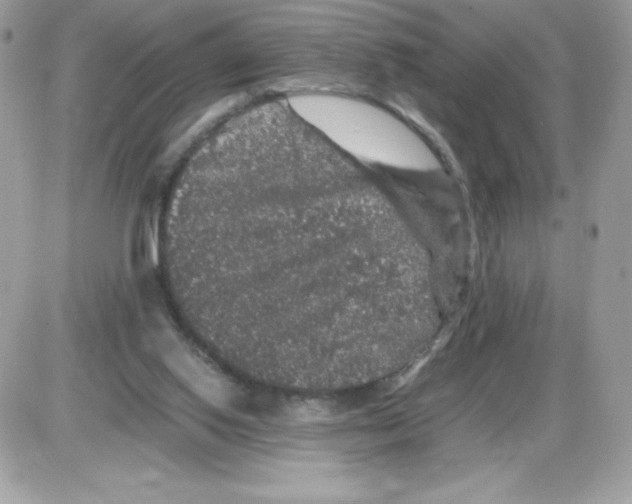 X0000085840062200704132114