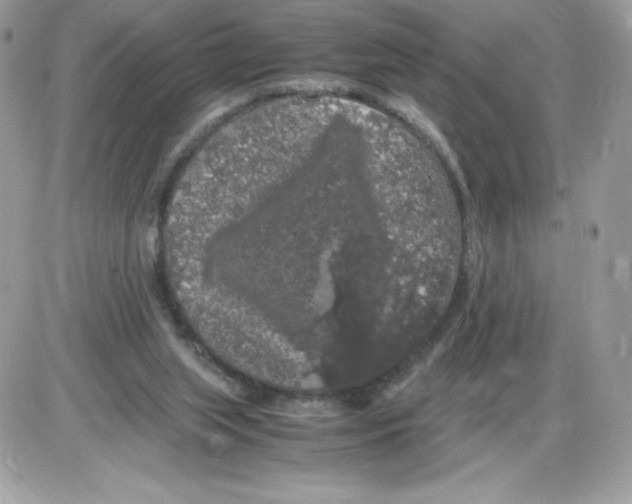 X0000085840063200704132114