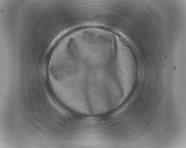 X0000085840064200704132114