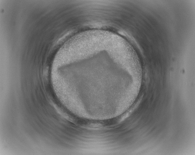 X0000085840066200704132114