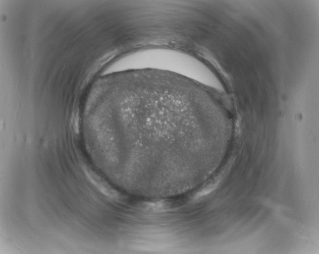 X0000085840068200704132114