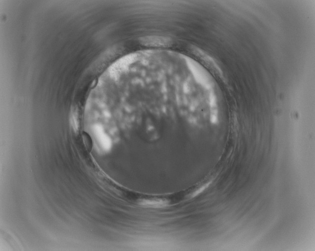 X0000085840069200704132114