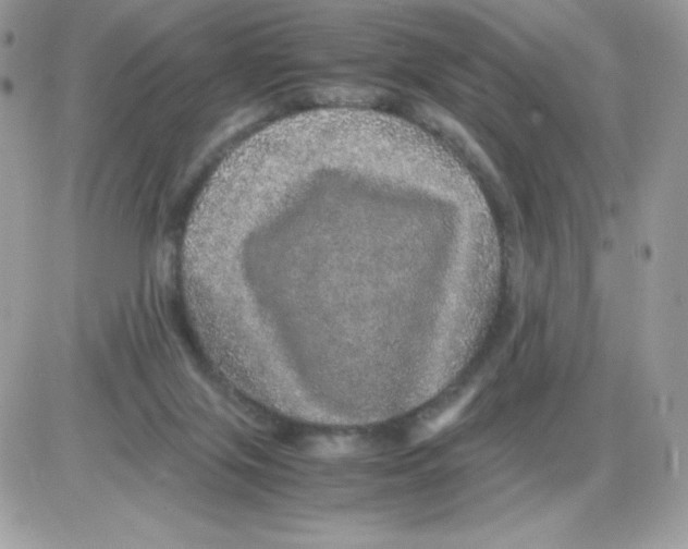 X0000085840071200704132114