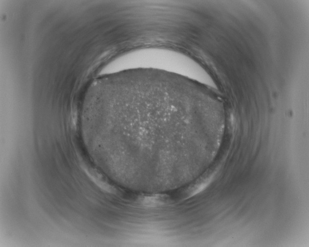 X0000085840072200704132114