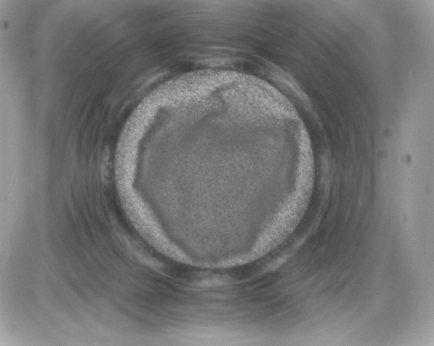 X0000085840073200704132114