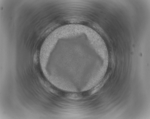 X0000085840074200704132114