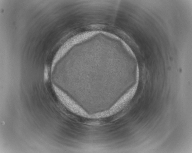 X0000085840075200704132114