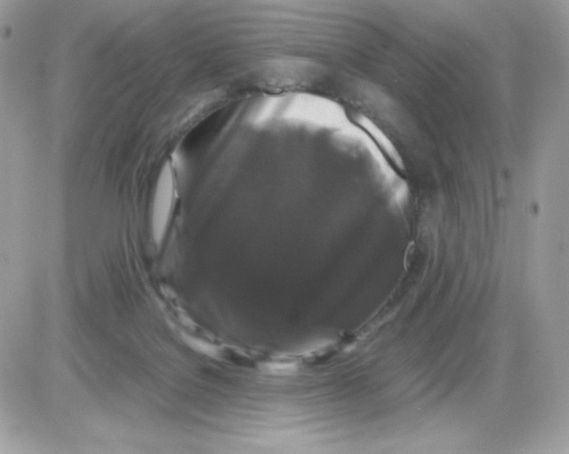 X0000085840076200704132114