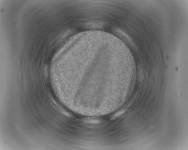 X0000085840077200704132114