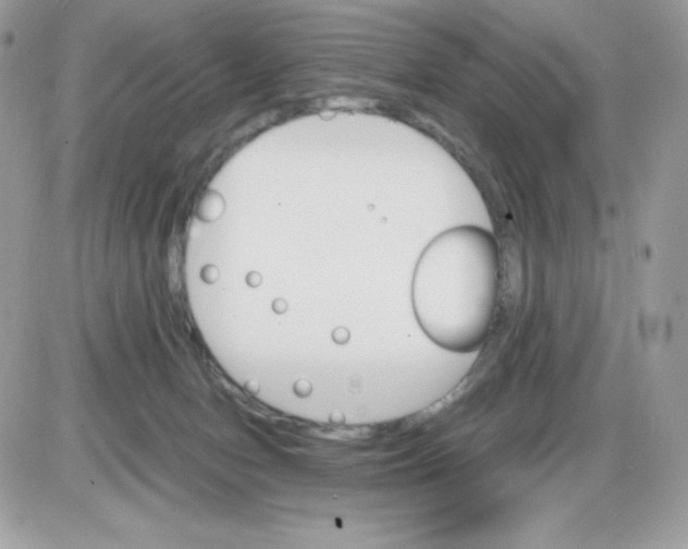 X0000085840078200704132114